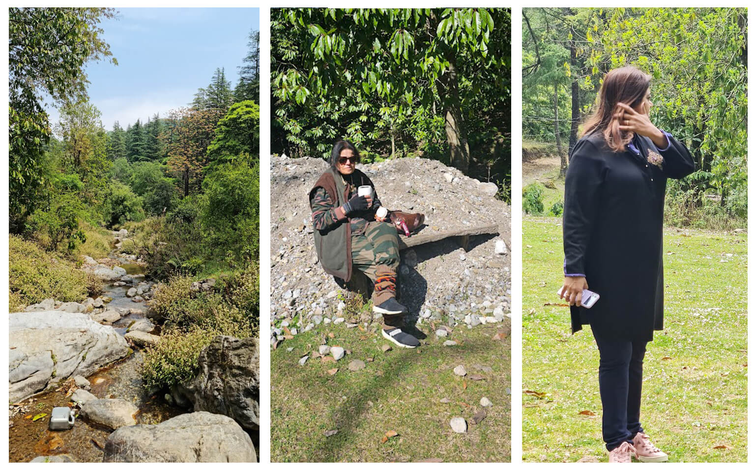 Forest bathing